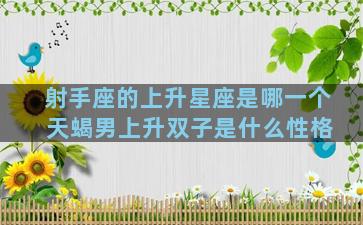 射手座的上升星座是哪一个 天蝎男上升双子是什么性格